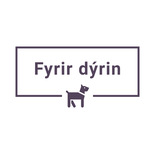 Fyrirdyrin